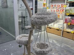 -爱洗澡的猫(天河路店)
