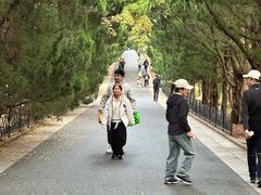 -青岛海滨风景区