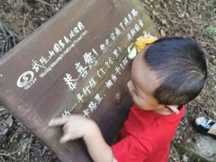 -武陵山森林公园