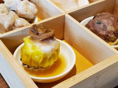 -龙悦湾酒家·八阵鱼生·渔人码头店