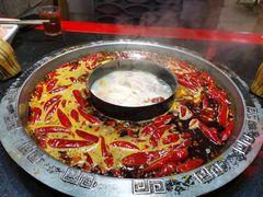 -渝大狮毛肚老火锅(普陀店)