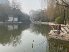 -团结湖公园
