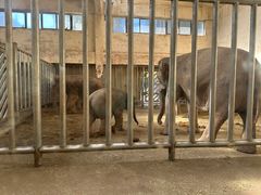 -石家庄市动物园