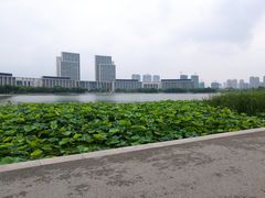 -尚贤河湿地
