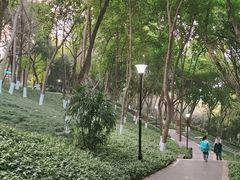 -龙头寺公园