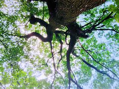 -终南山南五台景区