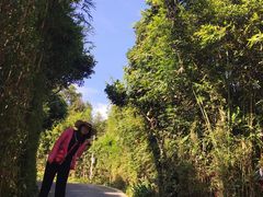 -三亚亚龙湾人间天堂鸟巢度假村