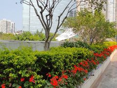 -厦门邮轮中心厦鼓码头(轮渡站)