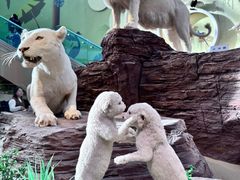 -陕西自然博物馆