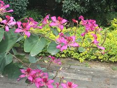 -闽江夜游台江旅游码头