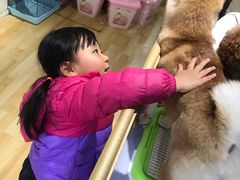 -乐宠宠物店(世纪金源店)