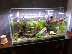 -莲SPA足道养生馆(殷高路旗开坊店)