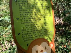 -大岭沟猕猴桃谷风景区