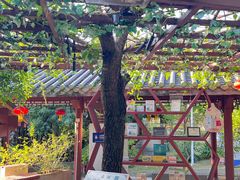 -广州神农草堂中医药博物馆