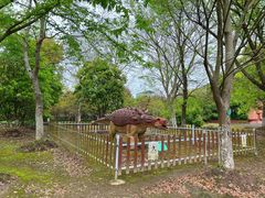 -上海海湾国家森林公园