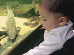 -江和美海洋公园