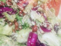 草原大拌菜-木屋烧烤(坂田天安云谷店)