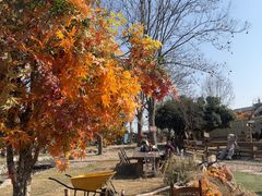 -HERRE·FARM 赫尔露营农场·团建聚会包场