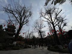 -望江楼公园