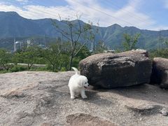 -白水寺森林公园