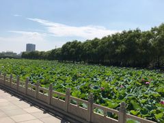 -南戴河国际娱乐中心