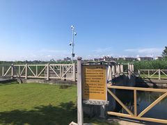 -鹦鹉洲湿地公园