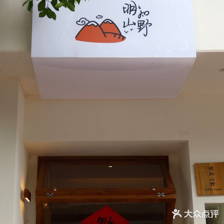 咖啡馆的无尽夏｜杨柳依依 夏日如期🌳