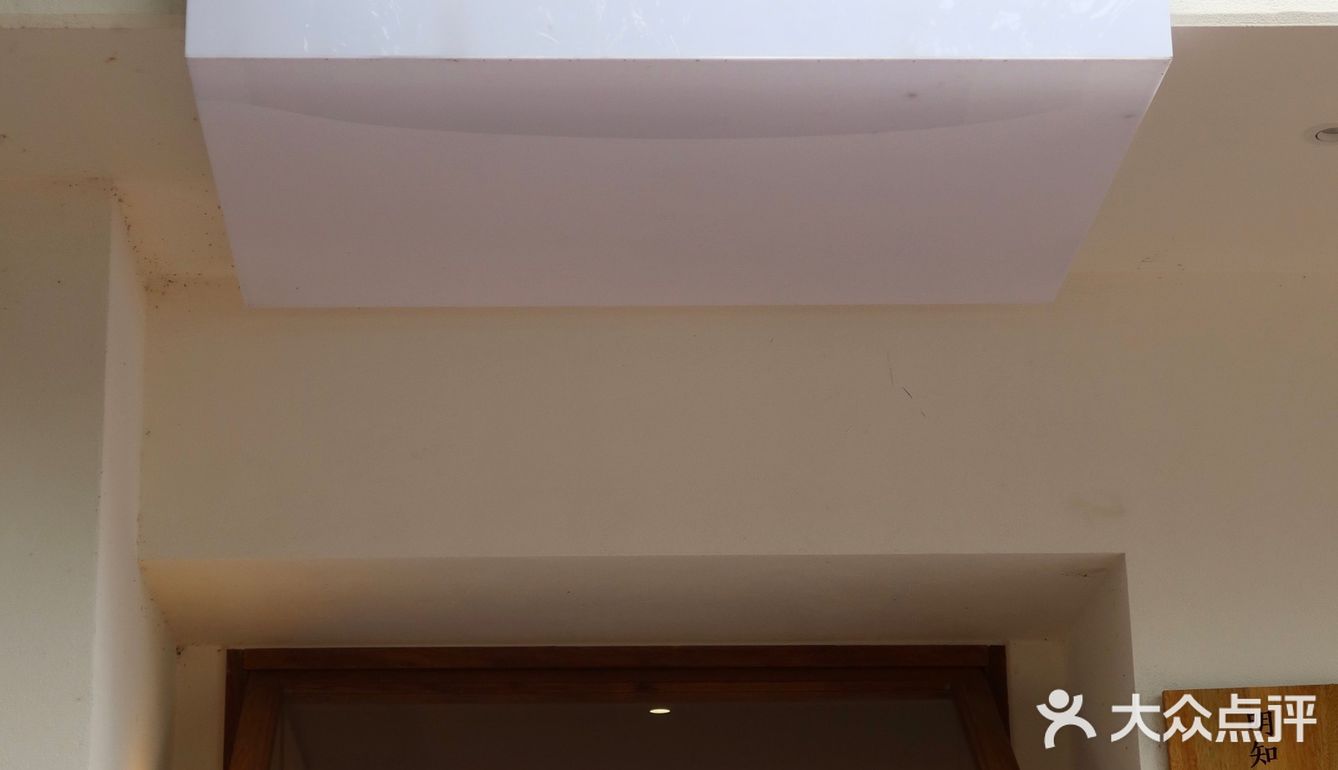 咖啡馆的无尽夏|杨柳依依 夏日如期🌳