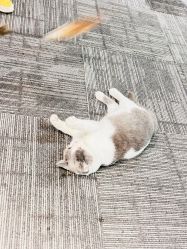 -邵老师打金·黄金加工(大望路总店)