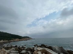 -广东惠东海龟国家级自然保护区