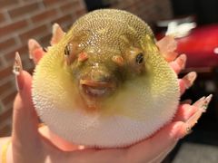 -永安鱼庄·镇江菜(东吴路店)