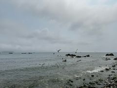 -银沙滩浴场