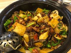 茶树菇香辣鸡煲-清真重庆巴爷香辣鸡煲(南小巷店)