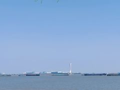-上海滨江森林公园