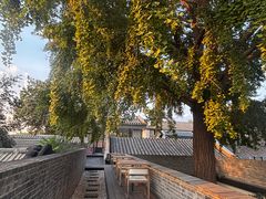 -自如ZSPACE四合院艺术餐厅
