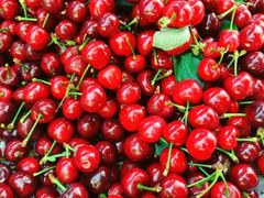 -金谷域澳洲庄园