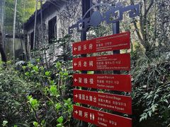 -杭州黄龙洞