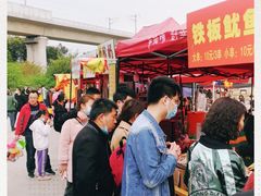 -秀丽东方