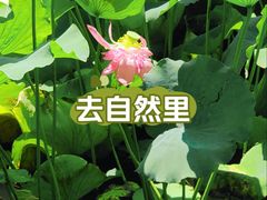-黄兴公园