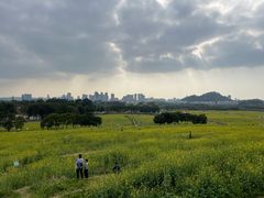 -光明小镇欢乐田园