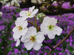 -江苏三台山国家森林公园