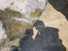 -雅鲁激流探险漂流