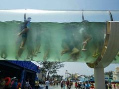 -秦皇岛乐岛海洋王国