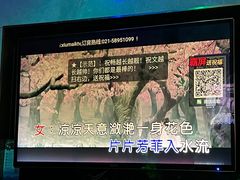 -上海星秀麦量贩KTV(张江商业广场店)