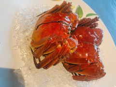 清蒸六月黄-蟹榭·本帮江浙菜·蟹宴(五角场合生汇商场店)