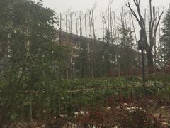 -骏途旅游