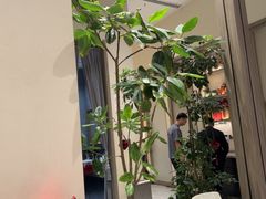 -俏立方·15年新楚菜