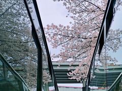 -上海南浦大桥长途旅游客运站