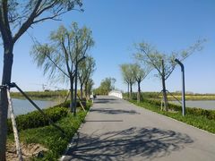 -天津东丽湖风景区