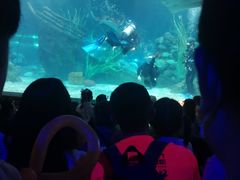 -南昌海洋公园